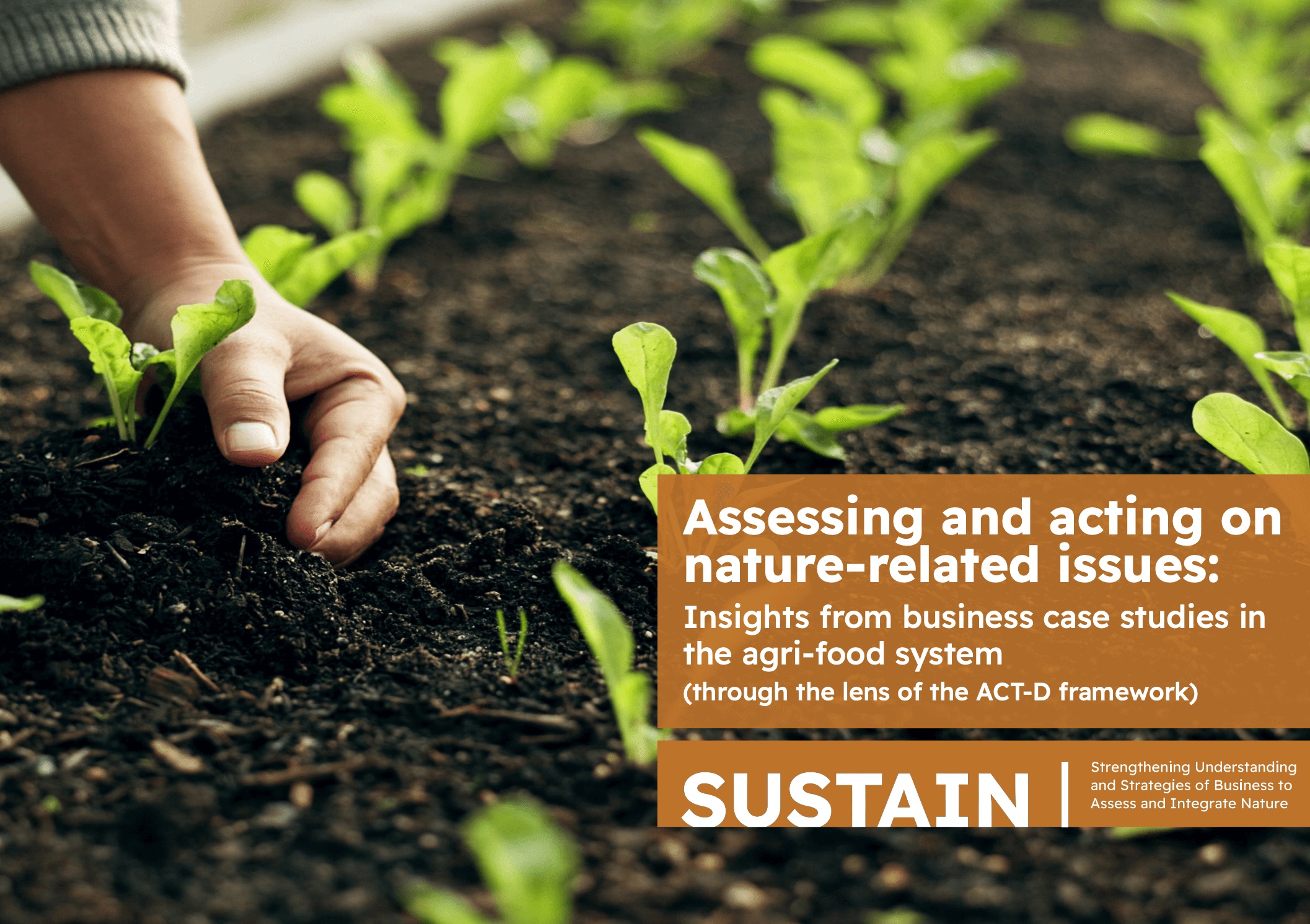 Assessing and acting on nature-related issues: Insights from business case studies in the agri-food system