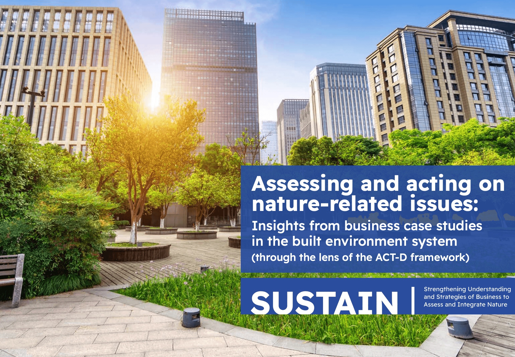 Assessing and acting on nature-related issues: Insights from business case studies in the built environment system