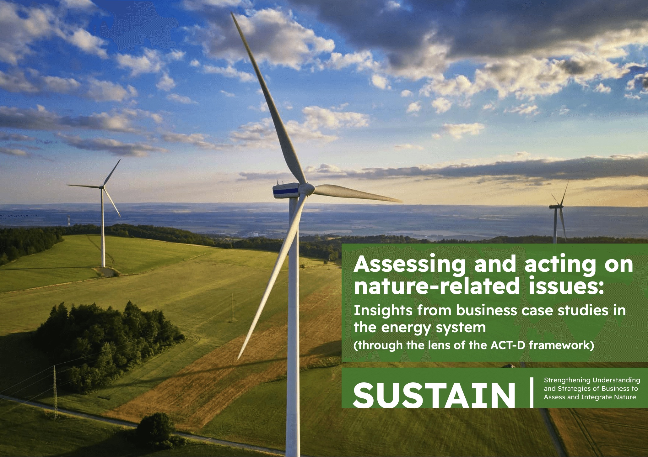 Assessing and acting on nature-related issues. Insights from business case studies in the energy system