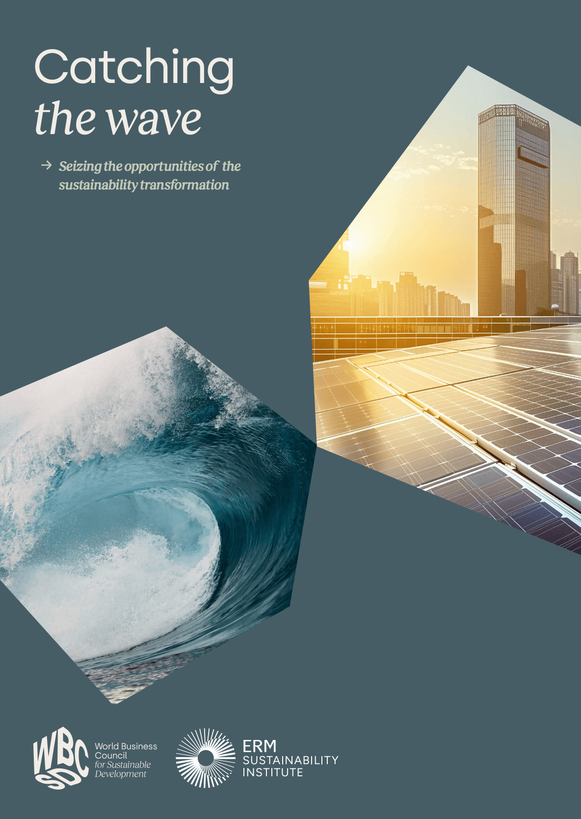 Catching the Wave – Seizing the Opportunities of the Sustainability Transformation