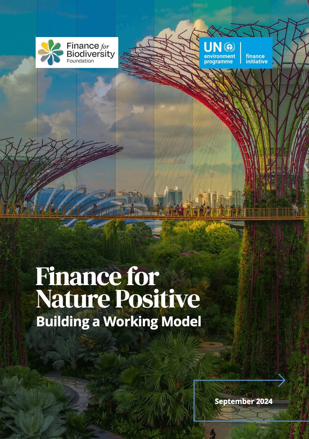 Finance for Nature Positive Discussion Paper