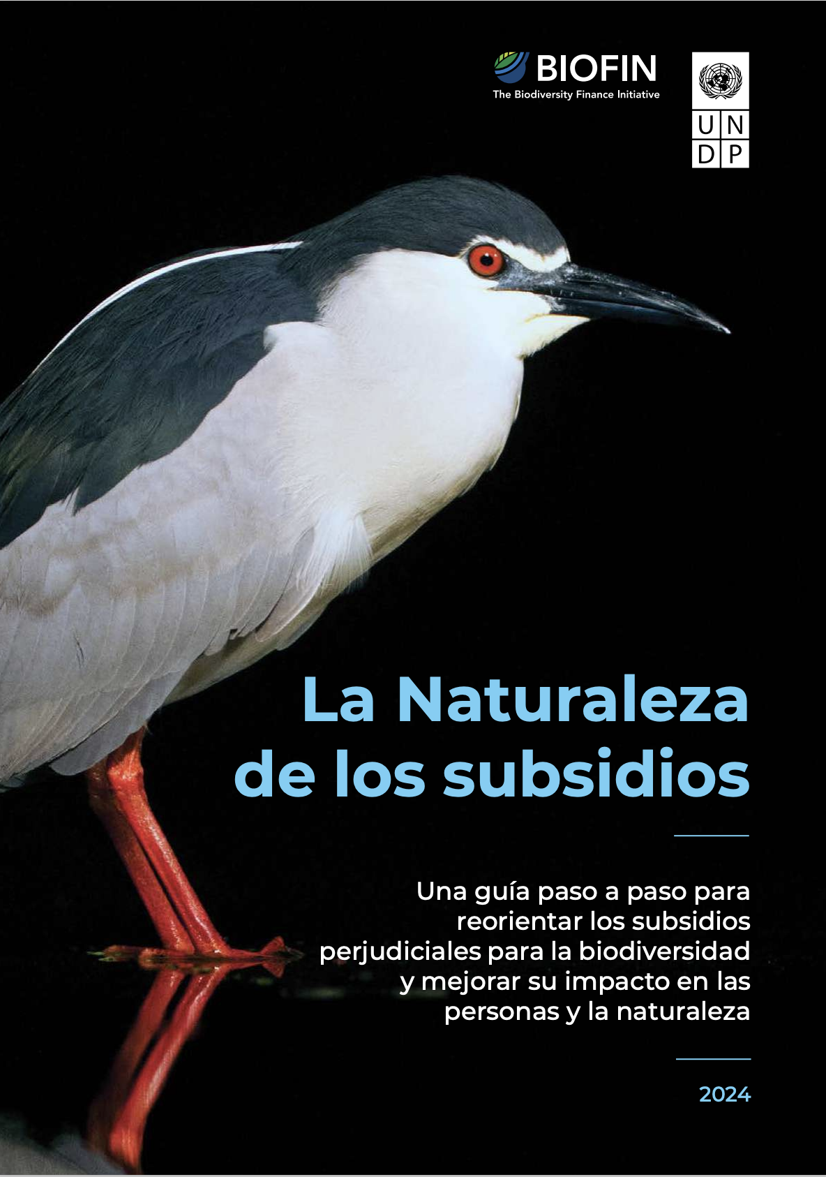 The nature of the subsidies. A step-by-step guide to reorienting harmful subsidies for biodiversity and improving their impact on people and nature