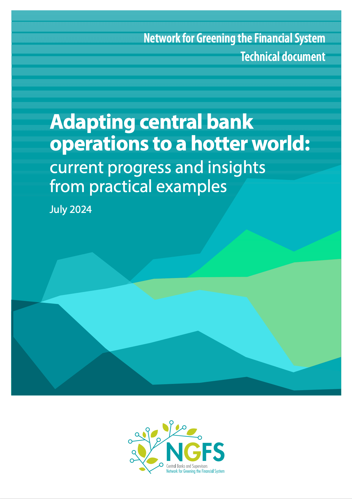 Adapting central bank operations to a hotter world: current progress and insights from practical examples