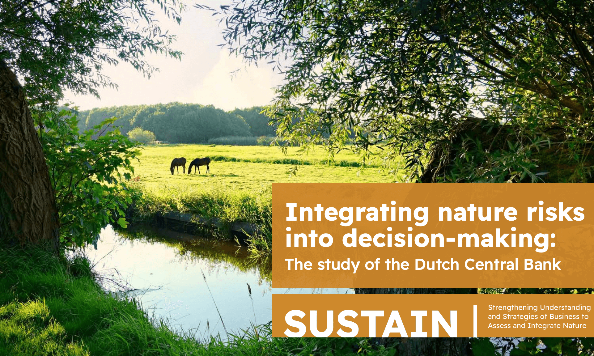 Integrating nature risks into decision-making: The study of the Dutch Central Bank