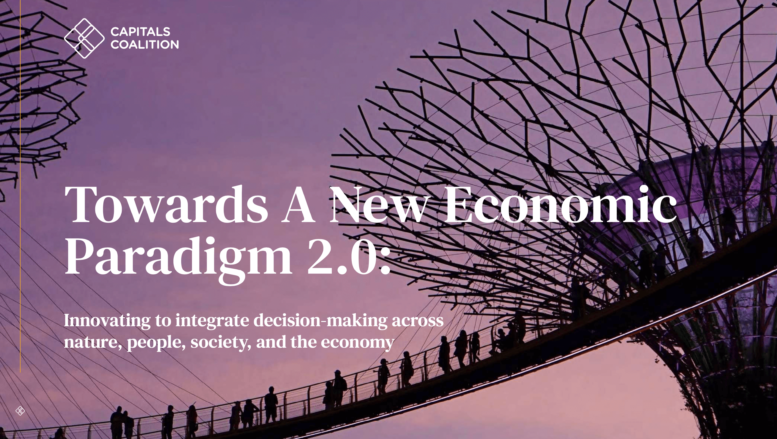 Towards a New Economic Paradigm 2.0. Innovating to integrate decision making across nature, people, society and economy