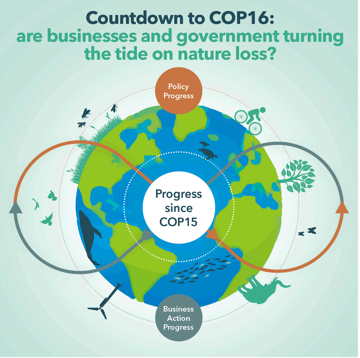 Countdown to COP16: Are companies and governments turning the tide on nature loss?