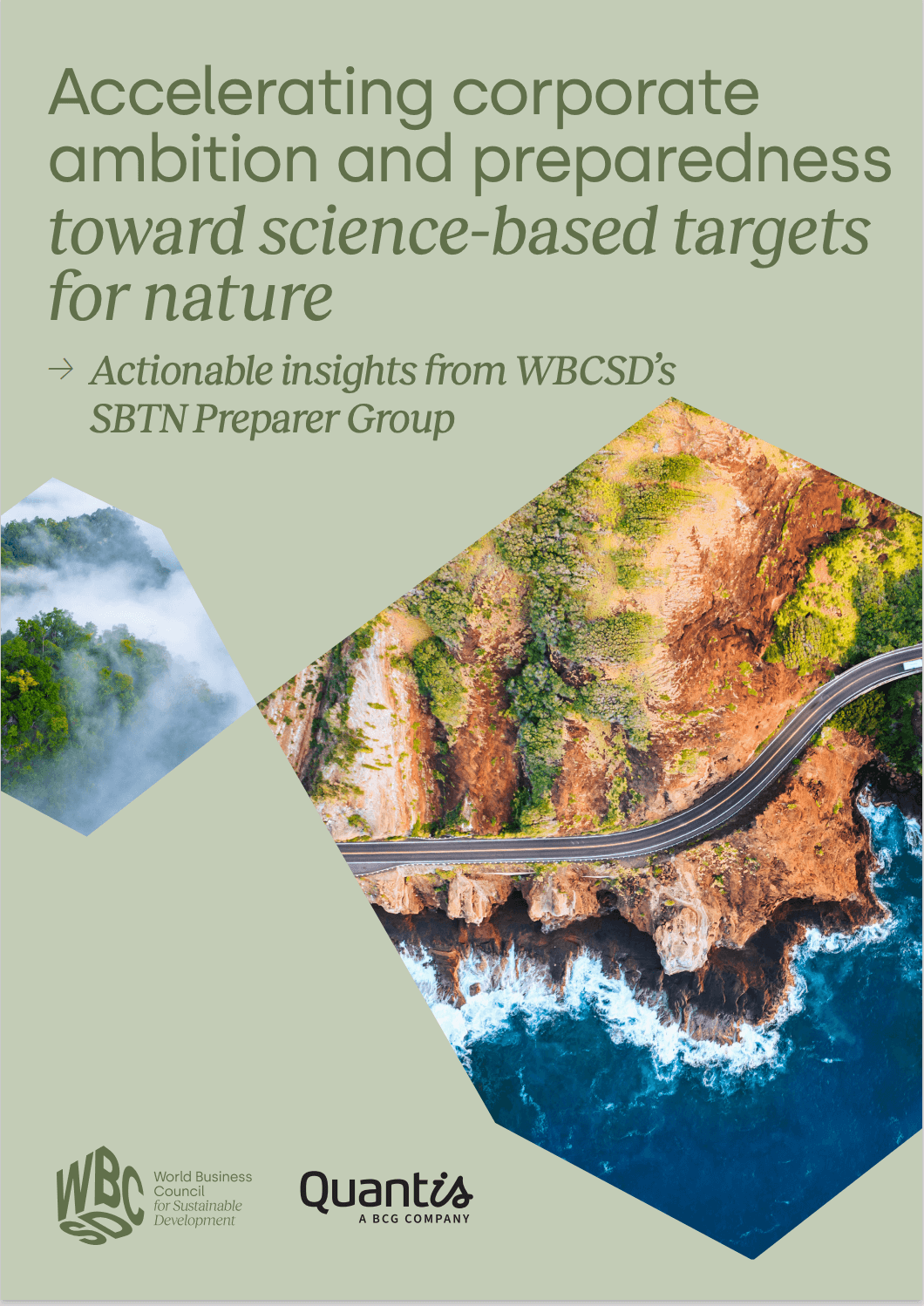 Accelerating corporate ambition and preparedness toward science-based targets for nature. Actionable insights from WBCSD’s SBTN Preparer