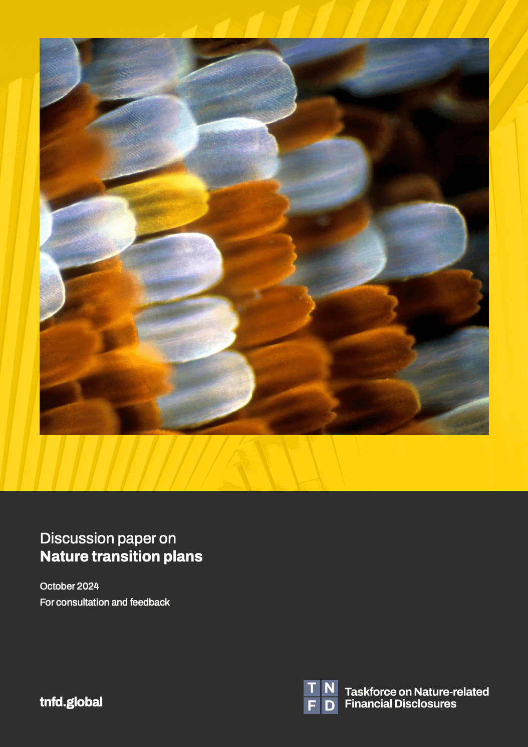 Discussion paper on Nature transition plans