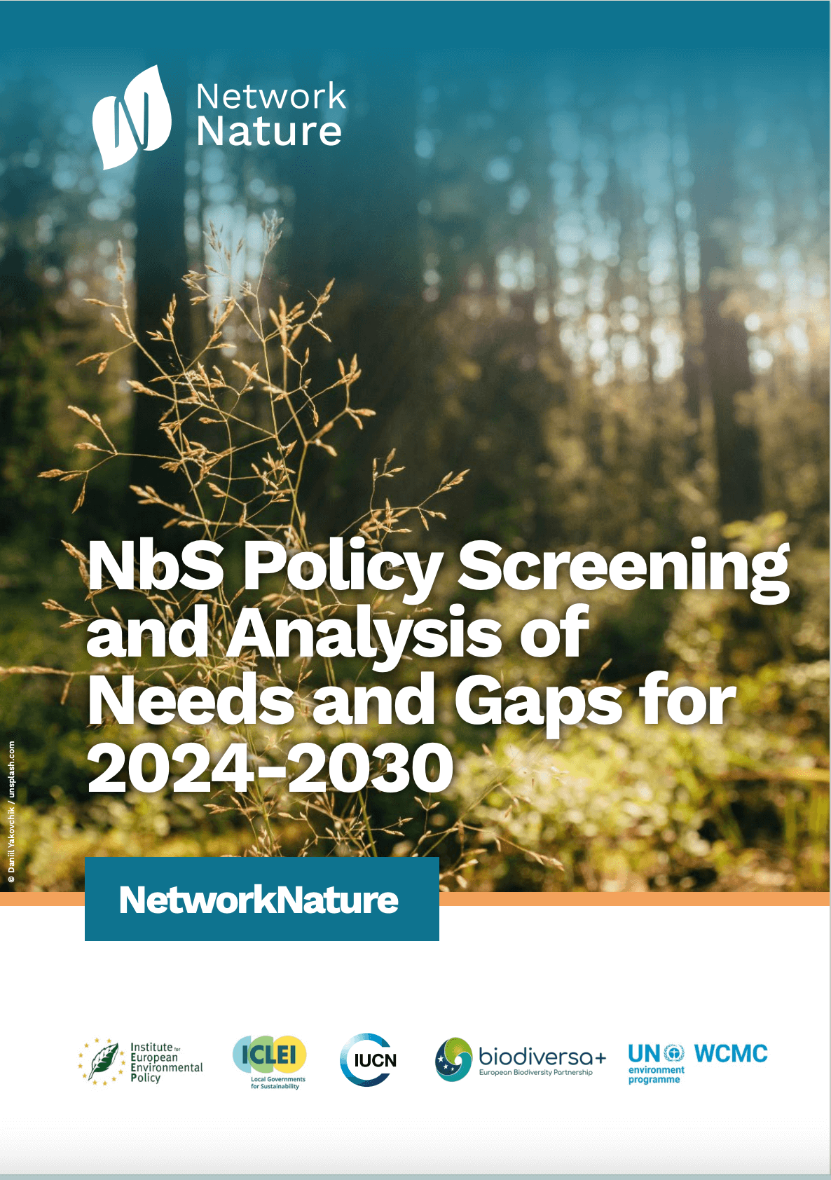 NbS Policy Screening and Analysis of Needs and Gaps for 2024-2030