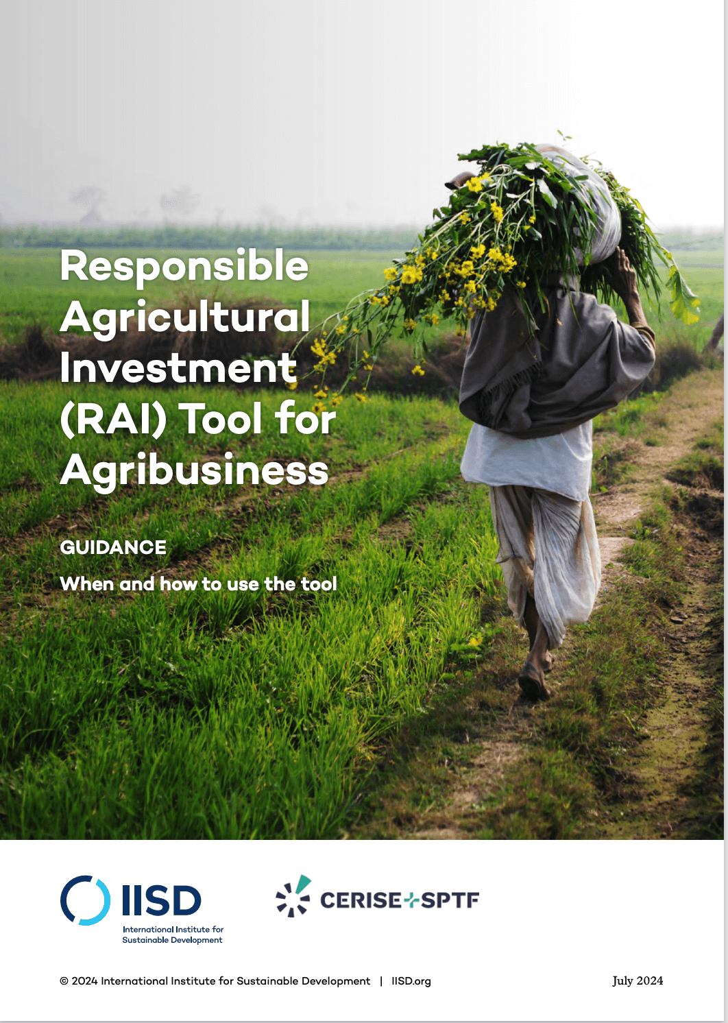 Responsible Agricultural Investment (RAI) Tool for Agribusiness