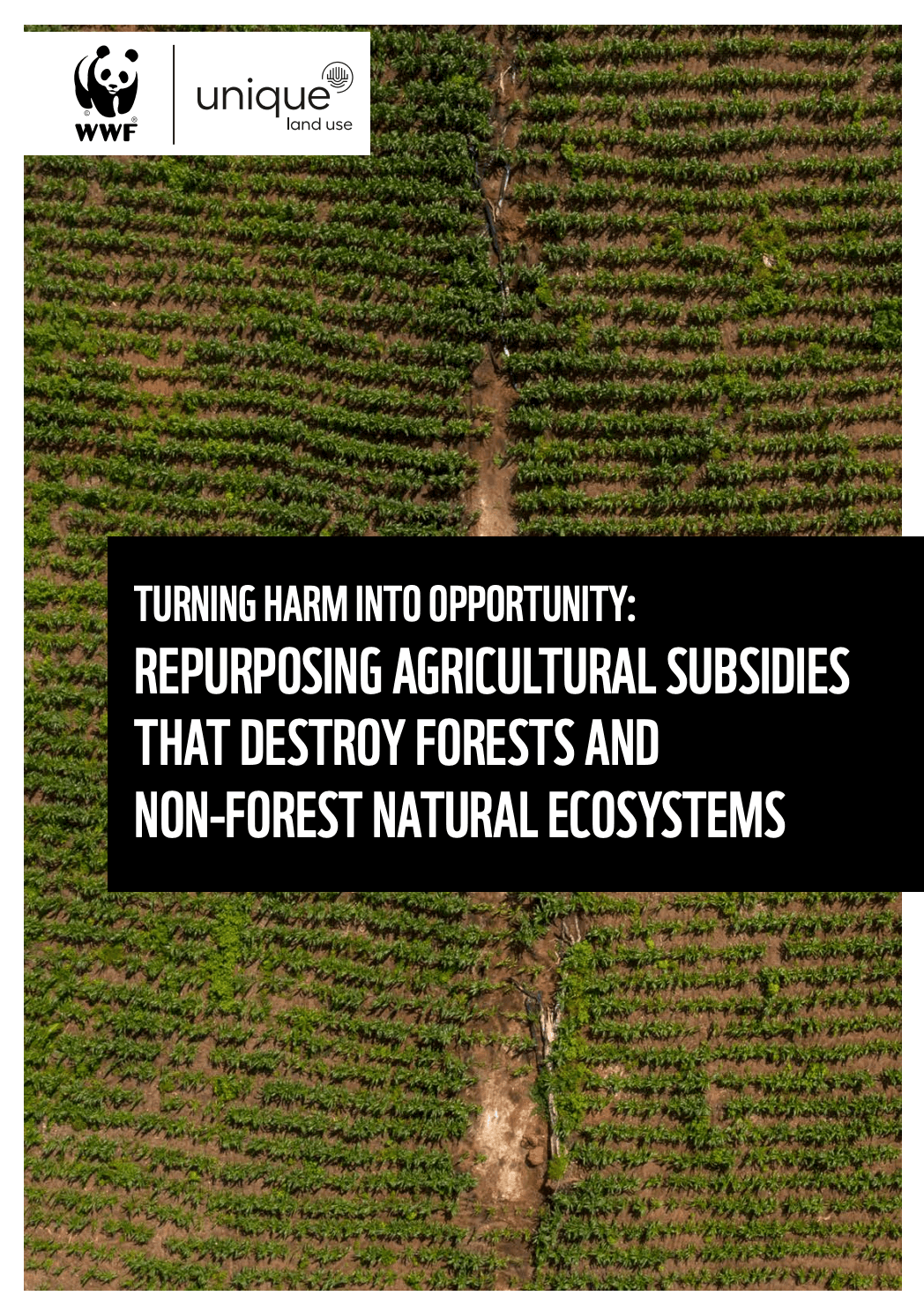 Turning harm into opportunity. Repurposing agriculturall subsidies that destroy forests and non-forests natural ecosystemas