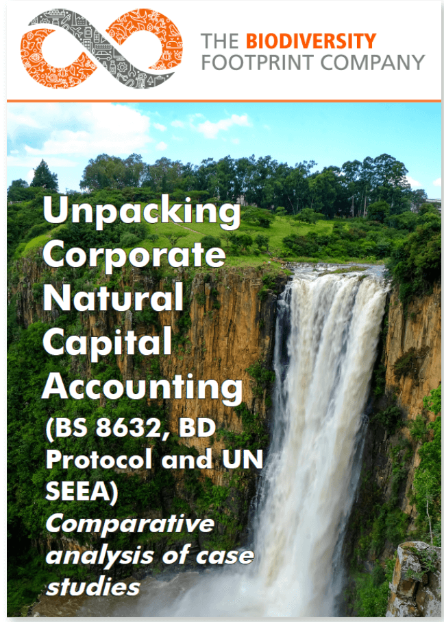 Unpacking corporate natural capital accounting (BS 8632, BD Protocol & UN SEEA): comparative analysis of case studies