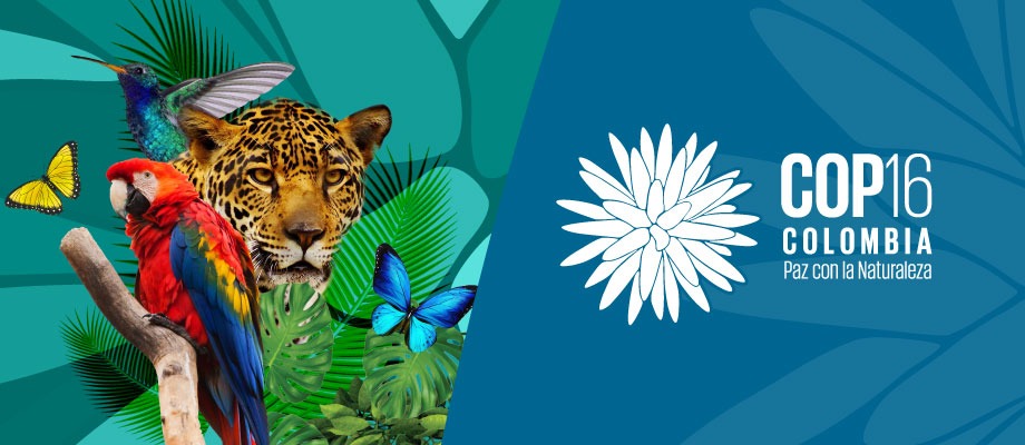 The IEEB at COP16 on Biological Diversity