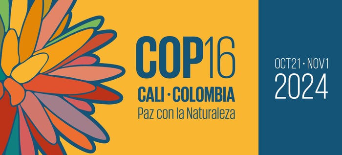 The role of the Spanish Business and Biodiversity Initiative at COP 16 of the Convention on Biological Diversity