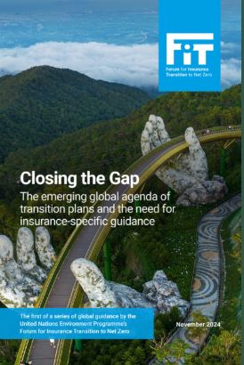 Closing the Gap: The emerging global agenda of transition plans and the need for insurance-specific guidance