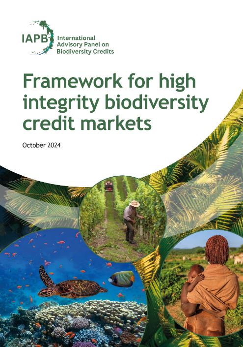 Framework for high integrity biodiversity credit markets