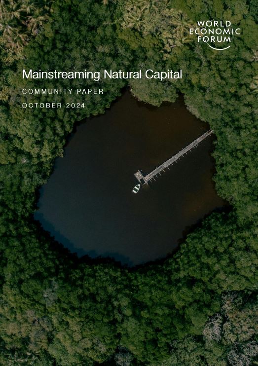 Mainstreaming Natural Capital