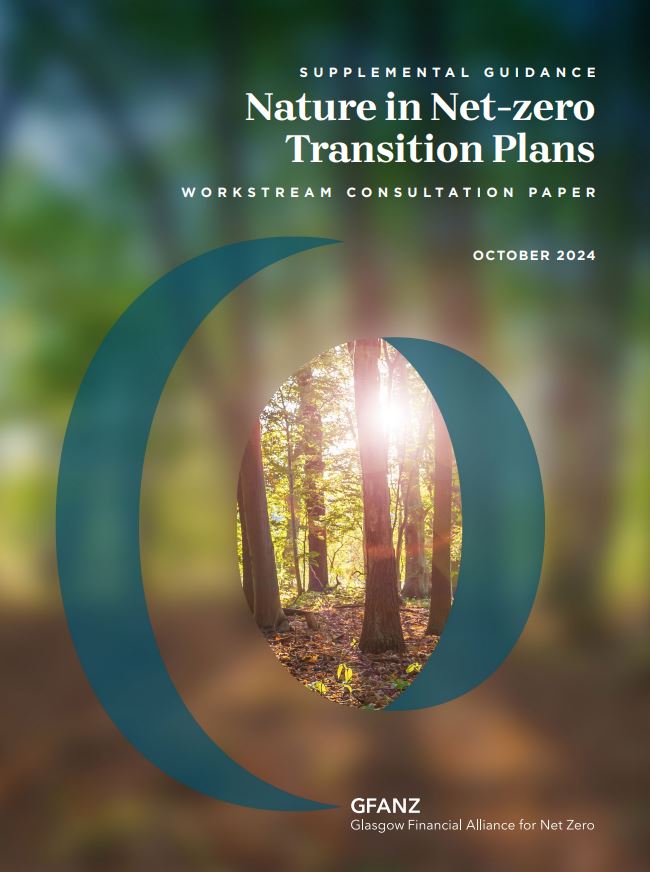 Nature in Net-Zero Transition Plans