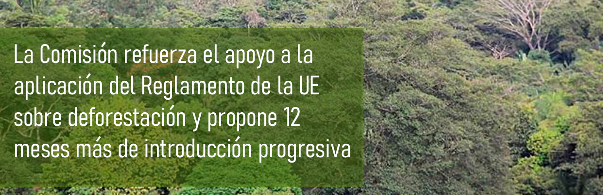 Commission steps up support for implementation of EU Regulation on deforestation and proposes 12 more months of phase-in