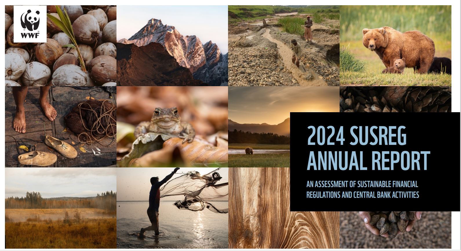 2024 Susreg Annual Report. An assessment sustainable financial regulations and central banks activities