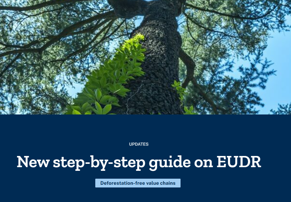 New step-by-step guide on EUDR