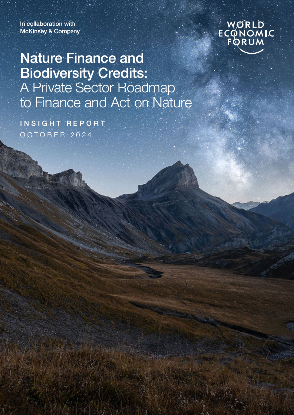 Nature Finance and Biodiversity Credits: A Private Sector Roadmap to Finance and Act on Nature