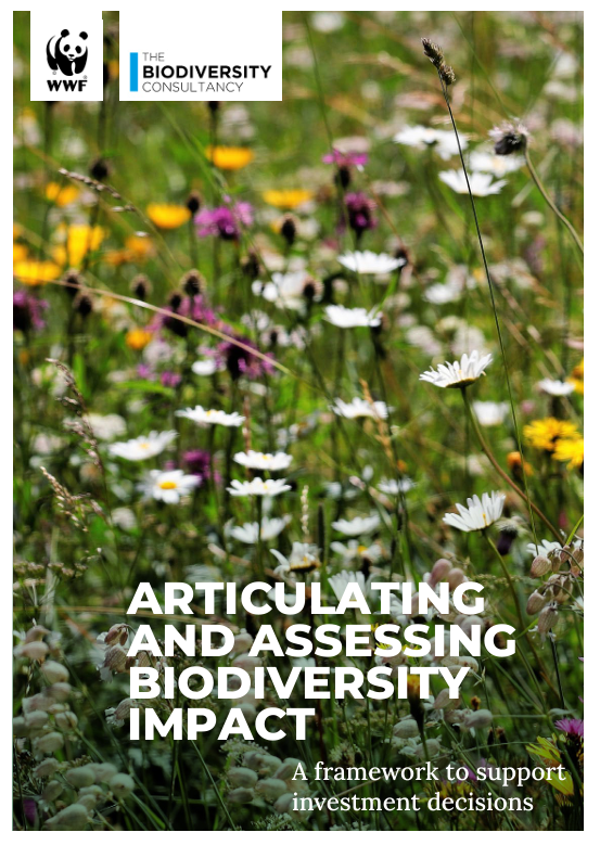 Articulating and Assessing Biodiversity Impact