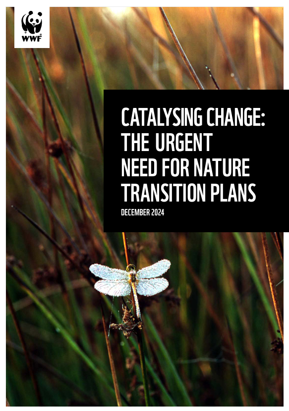 Catalysing Change: The urgent need for nature transition plans