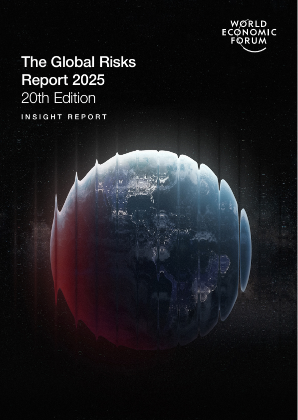 The Global Risks Report 2025