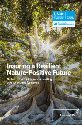 Insuring a resilient nature-positive future: Global guide for insurers on setting priority actions for nature