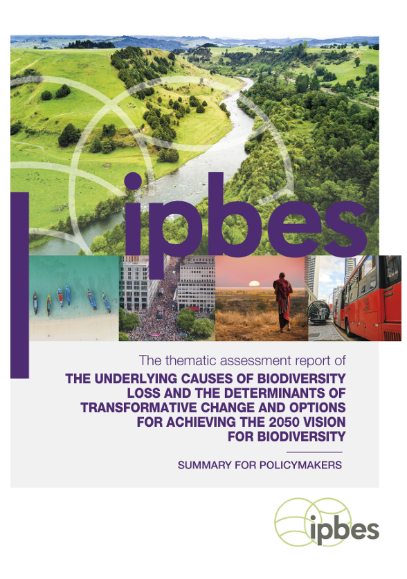 The Underlying causes of biodiversity loss and the determinants of transformative change and options for achieving the 2050 vision for biodiversity