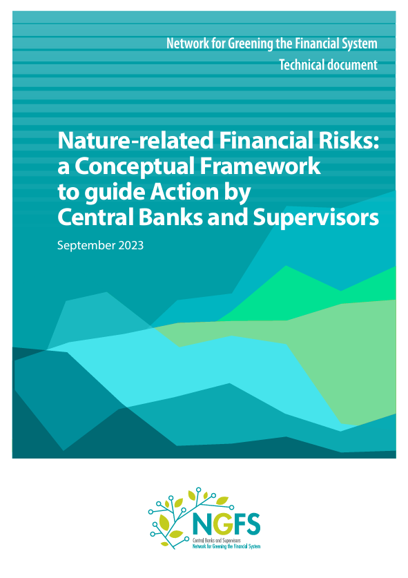 Nature-related Financial Risks: a Conceptual Framework to guide Action by Central Banks and Supervisors