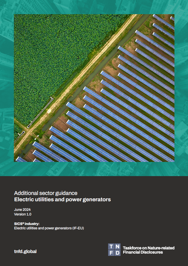 Additional sector guidance – Electric utilities and power generators