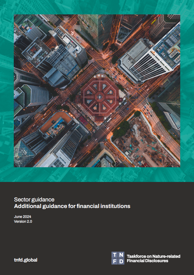 Additional guidance for financial institutions
