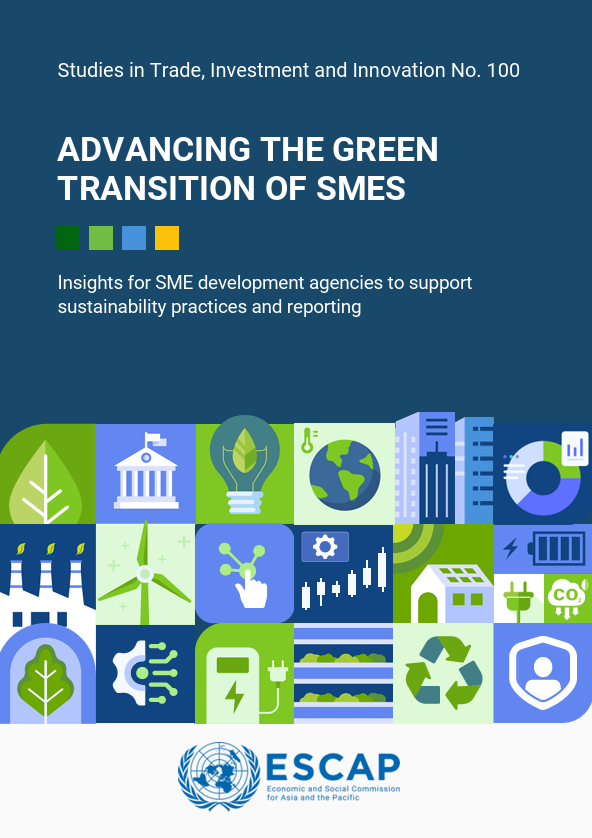 Advancing the Green Transition of SMEs: Insights for SME development agencies to support sustainability practices and reporting