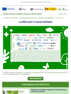 Boletín nº 12. La IEEB alcanza 127 participantes