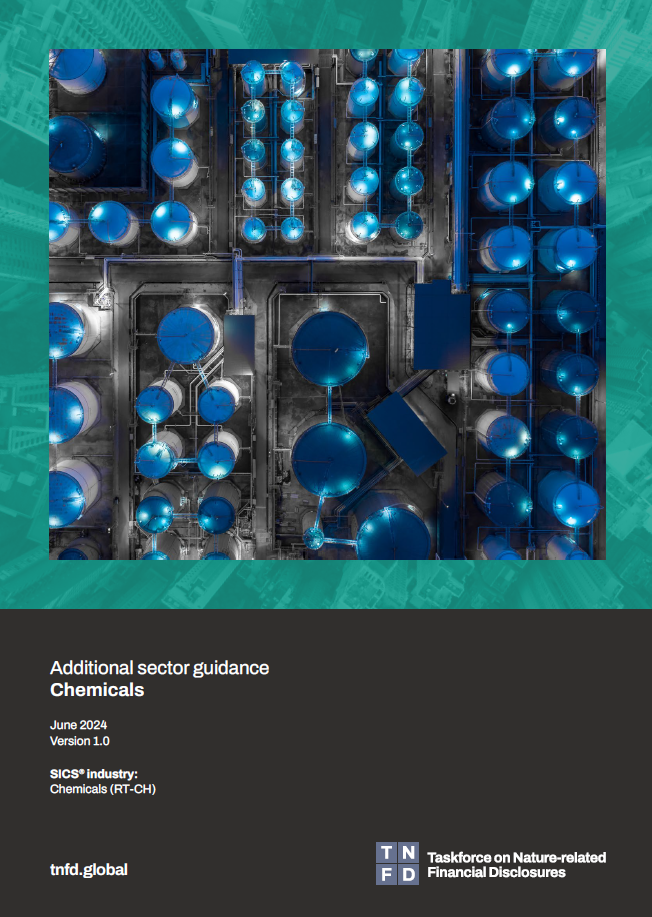 Additional sector guidance – Chemicals