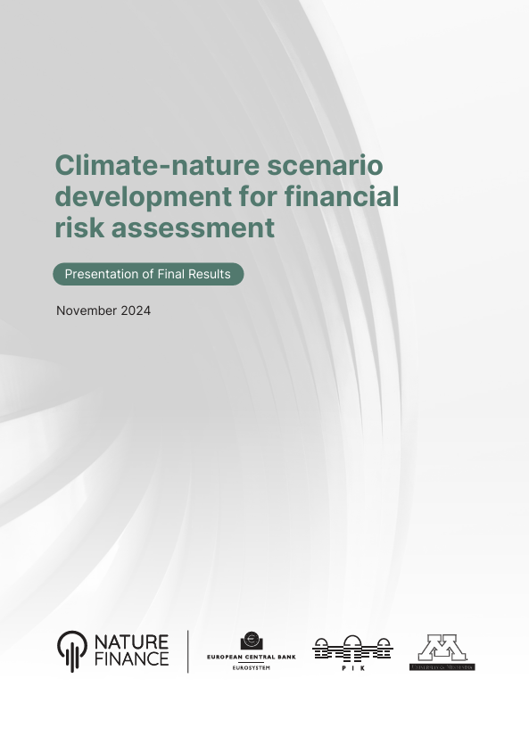 Climate-Nature Scenario Development for Financial Risk Assessment