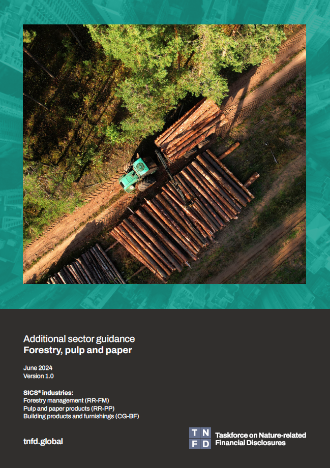 Additional sector guidance – Forestry, pulp and paper