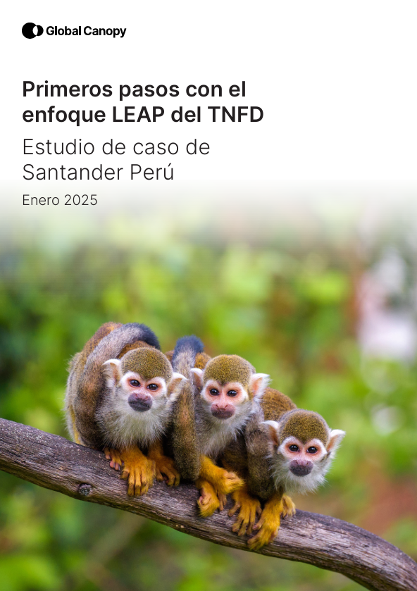 Getting Started with the TNFD’s LEAP Approach: Santander Peru Case Study