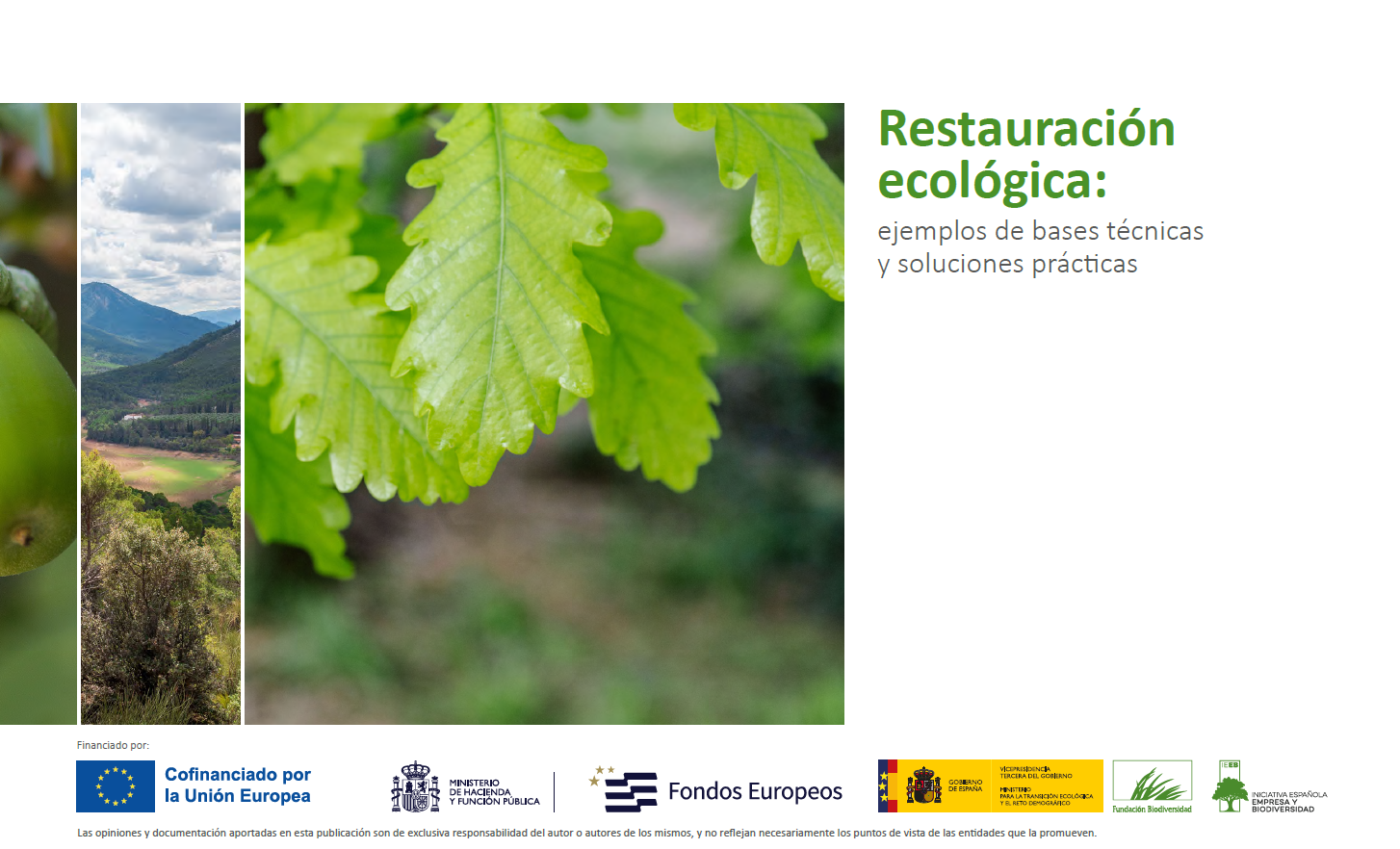 Ecological restoration: examples of technical bases and practical solutions