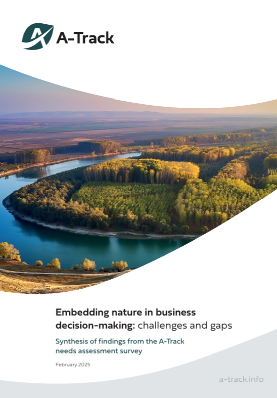 Embedding nature in business decision-making: challenges and gaps
