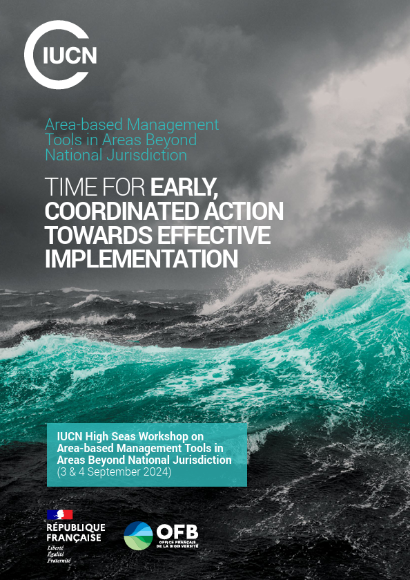 Time for early, coordinated action towards effective implementation of Area-Based Management Tools (ABMT) in Areas Beyond National Jurisdiction (ABNJ)