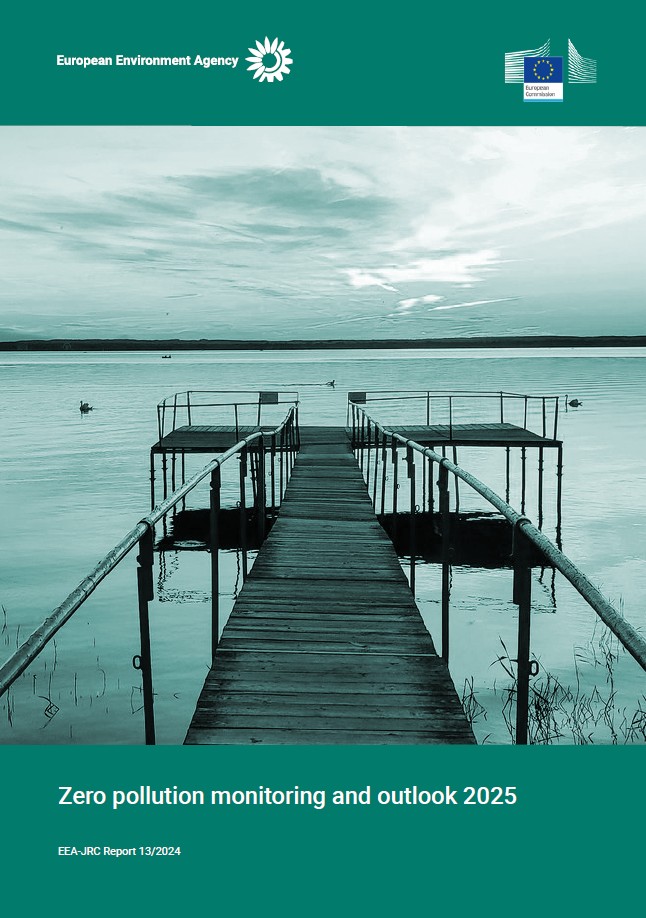 Zero pollution monitoring and outlook 2025