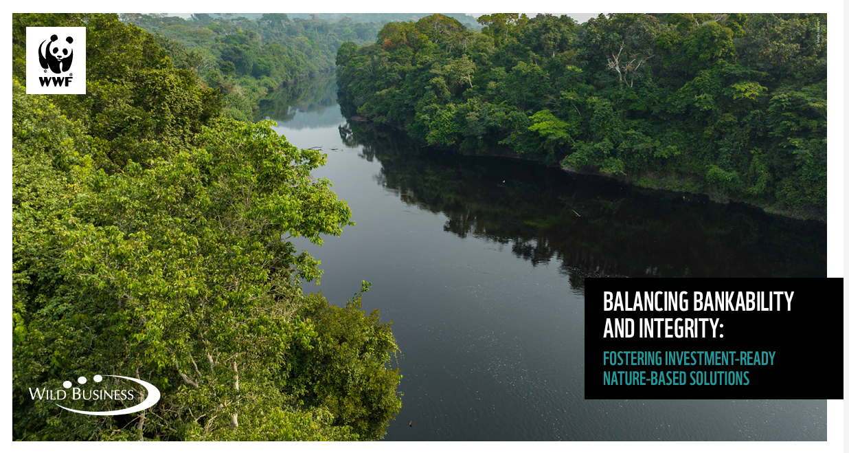 Balancing Bankability and Integrity: Fostering Investment-Ready Natyre-Based Solutions