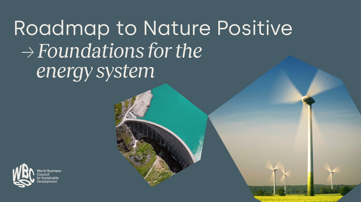 Roadmap to Nature Positive: Foundations for the energy system