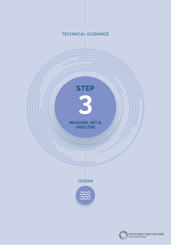 Step 3: Measure, Set, & Disclose Ocean targets