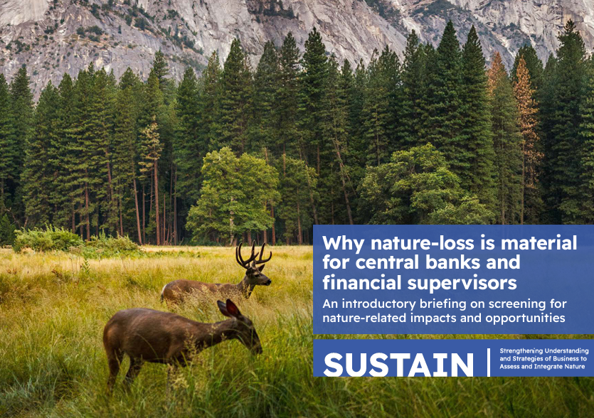 Why nature-loss is material for central banks and financial supervisors: An introductory briefing on screening for nature-related impacts and opportunities