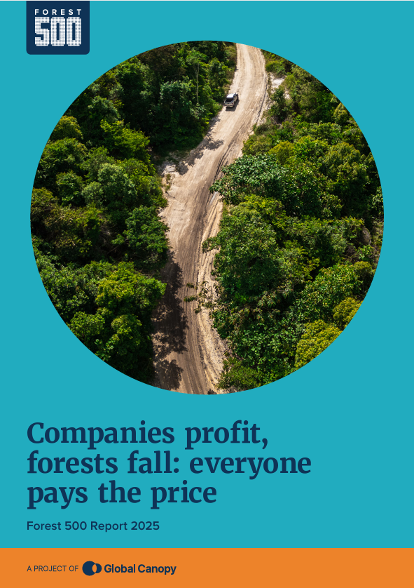 Companies profit, forests fall: everyone pays the price