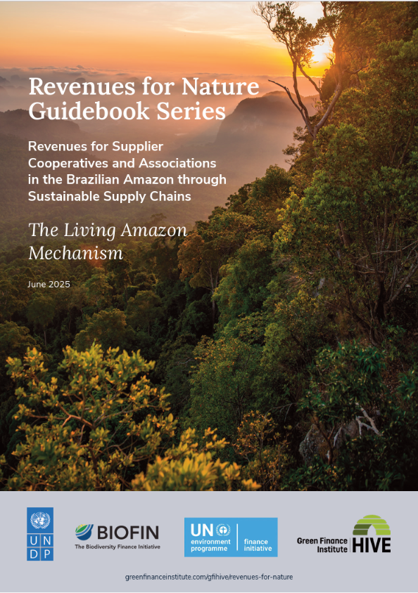 Unlocking bioeconomy finance: Connecting capital markets and forest conservation in the Amazon